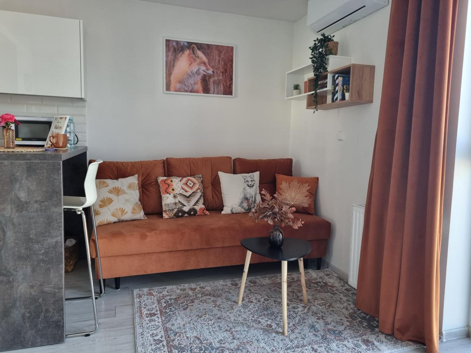 Rudy Zakatek W Centrum Bydgoszczy Apartament Bydgoszcz